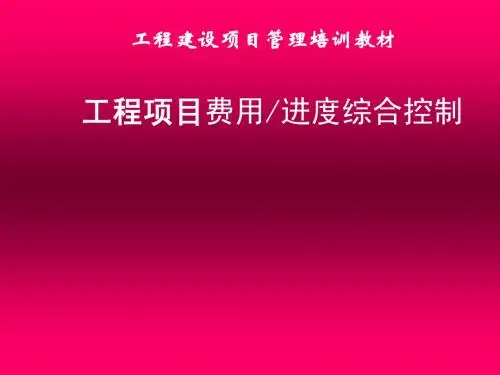 YJ费用进度综合控制