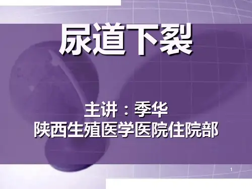 尿道下裂护理PPT课件