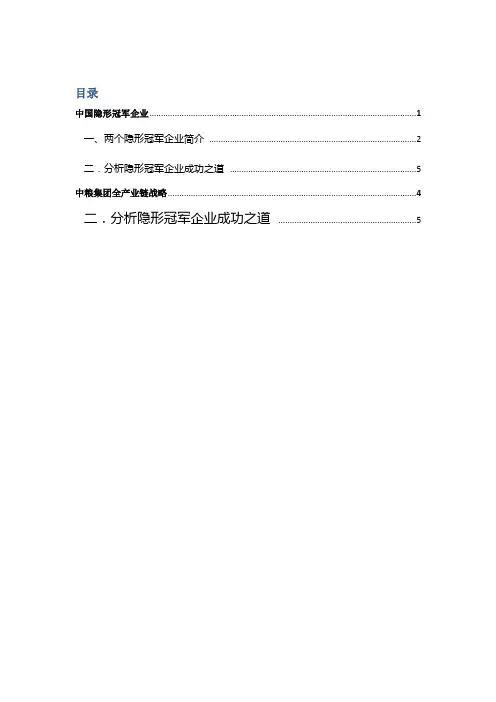 中国的隐形冠军企业