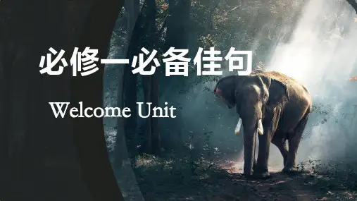高中英语人教版必修第一册Unit1--Unit5必备佳句课件