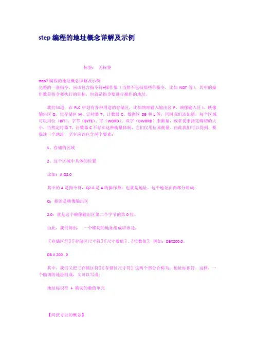 step编程的地址概念详解及示例