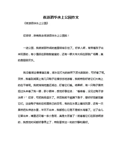 夜游泗华水上公园作文