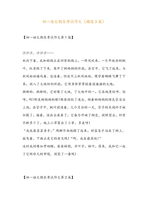 初一语文期末考试作文(精选3篇)