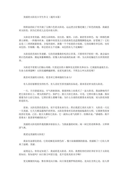 美丽的太阳花小学生作文(通用3篇)(最新)
