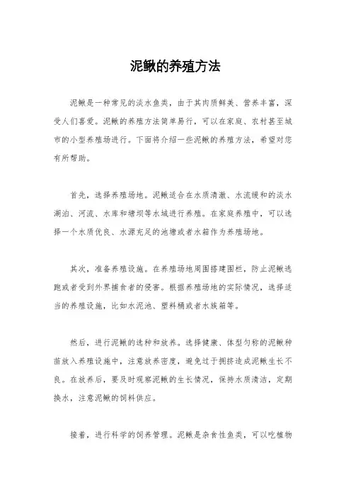 泥鳅的养殖方法