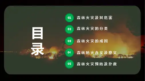 绿色简约森林防火人人有责PPT专题演示