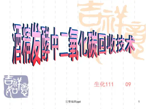 二氧化碳回收装置原理流程ppt课件