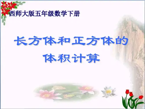 《长方体和正方体的体积计算》长方体和正方体的认识精品 课件 