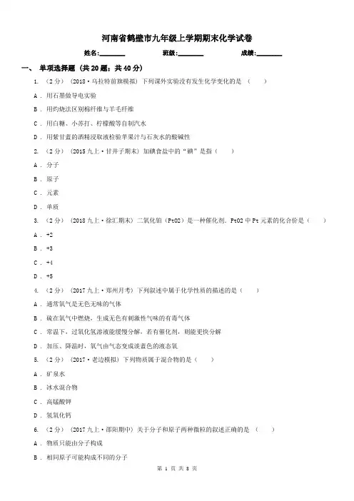 河南省鹤壁市九年级上学期期末化学试卷