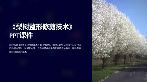 《梨树整形修剪技术》课件