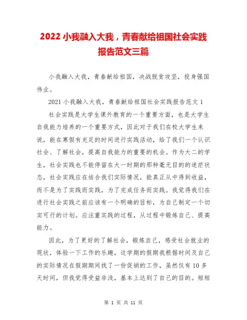 2022小我融入大我,青春献给祖国社会实践报告范文三篇