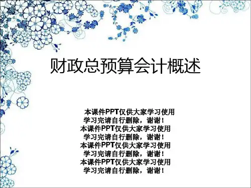 财政总预算会计概述