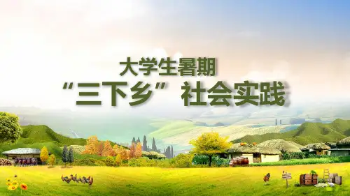大学生暑期三下乡社会实践内容PPT演示