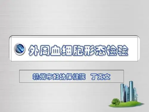 外周血细胞形态检验-PPT精品文档
