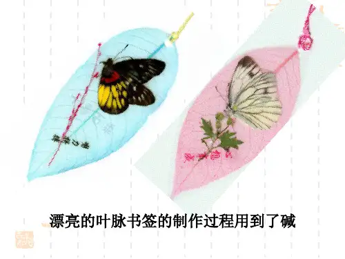 课题1 常见的酸和碱 第5课时 常见的碱及其性质