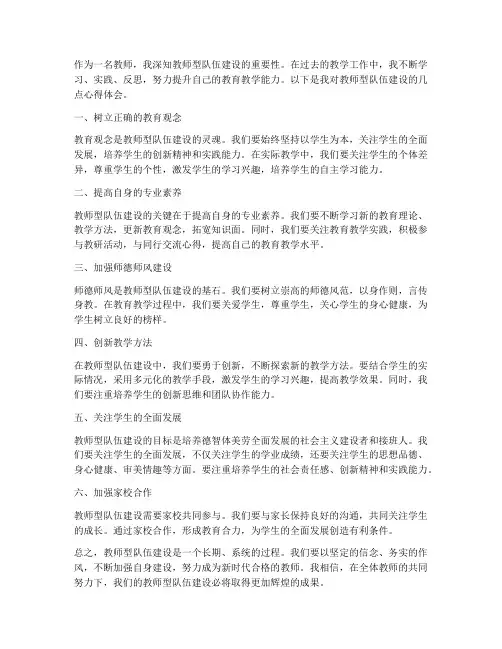 教师型队伍建设心得体会