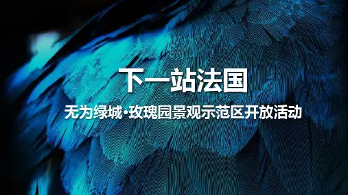 绿城玫瑰园景观示范区开放活动策划方案