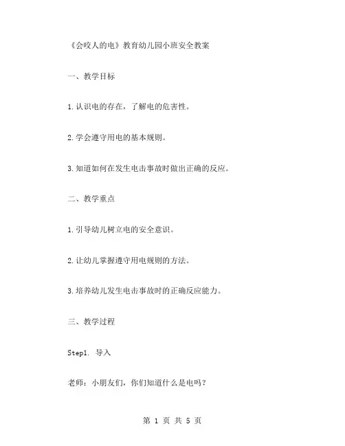 “会咬人的电”教育幼儿园小班安全教案