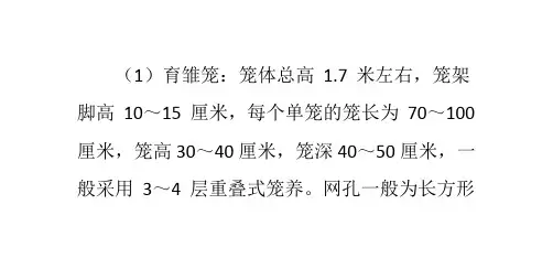 鸡笼尺寸规格介绍