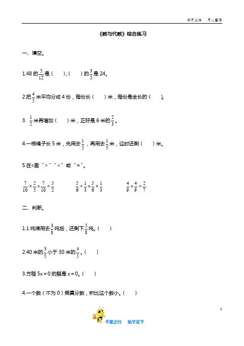 《数与代数》综合练习【新北师大小学数学 五年级下学期】