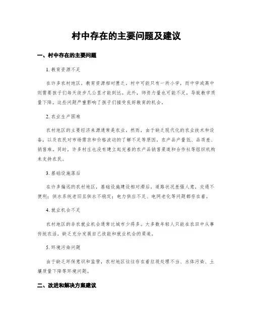 村中存在的主要问题及建议