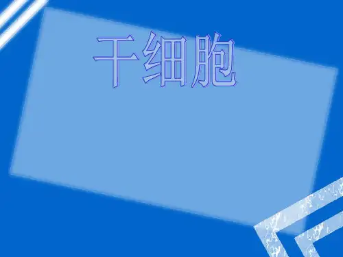 干细胞ppt课件