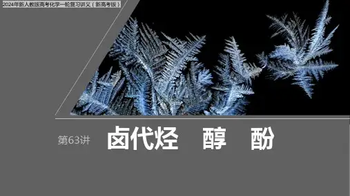 2024年新人教版高考化学一轮复习讲义(新高考版)  第10章 第63讲 卤代烃 醇 酚