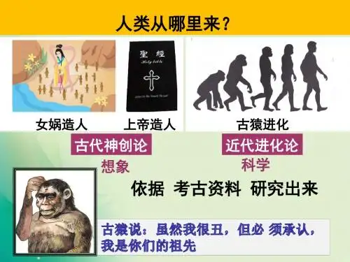 人教版七年级历史上册第一单元第一课 中国早期人类的代表---北京人课件(22张)