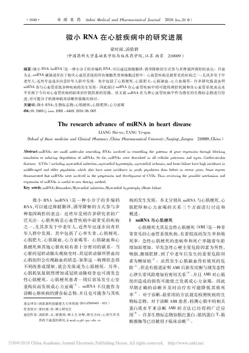 微小RNA在心脏疾病中的研究进展_梁时雨