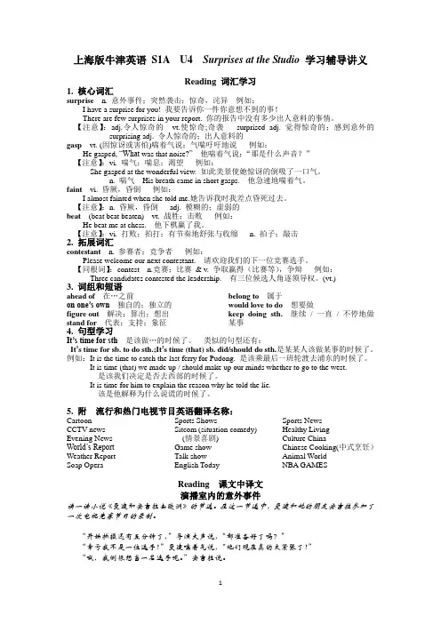 上海版牛津英语高一上学期 S1A U4 Entertainment学习辅导讲义