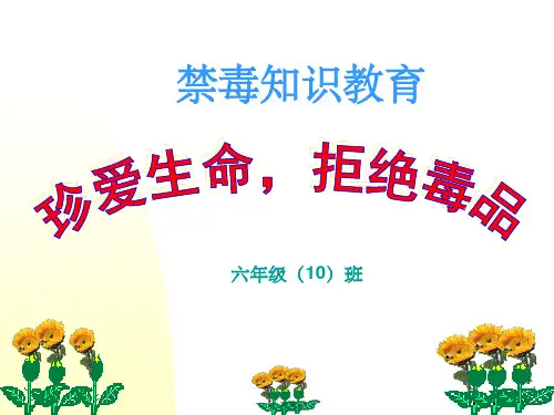 小学禁毒教育1精选ppt