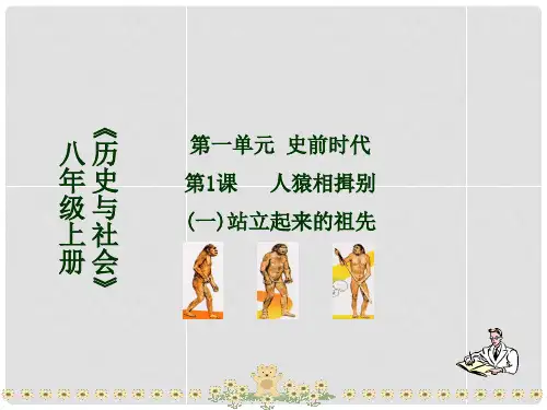 八年级历史与社会上册 第一单元第1课人猿相揖别课件 