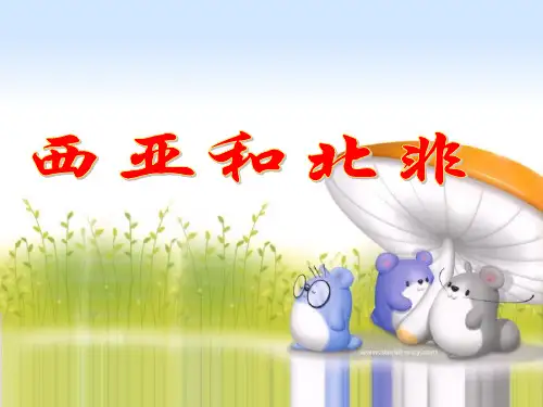 高考区域地理 西亚和北非(共38张PPT)