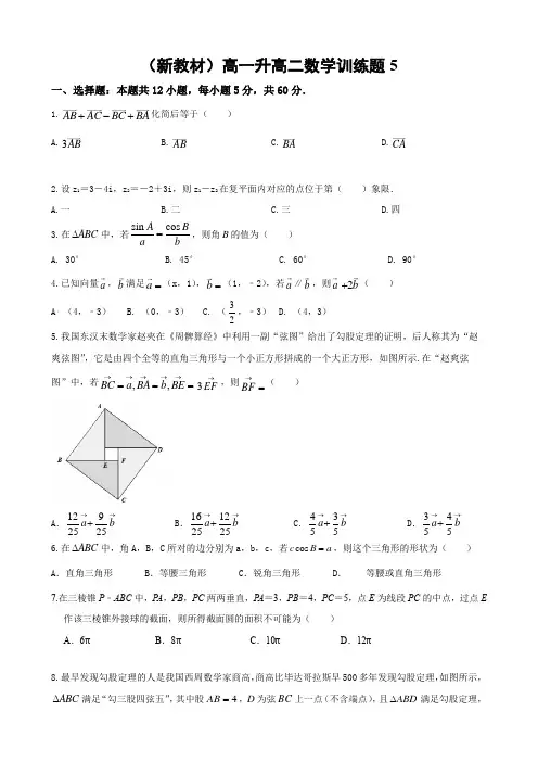 (新教材)高一升高二数学训练题五 (含解析)