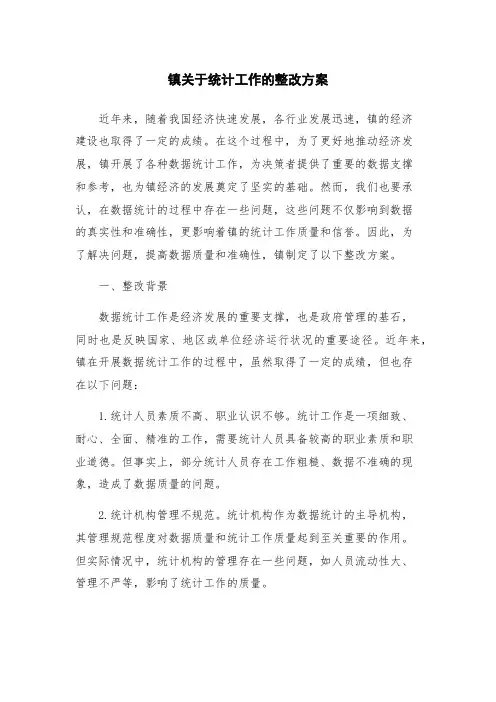 镇关于统计工作的整改方案