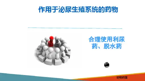 作用于泌尿生殖系统药物—利尿药(动物药理学课件)