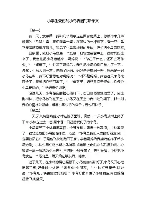 小学生受伤的小鸟看图写话作文