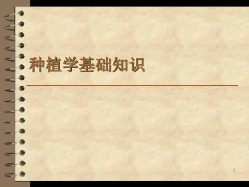 种植学基础知识PPT课件