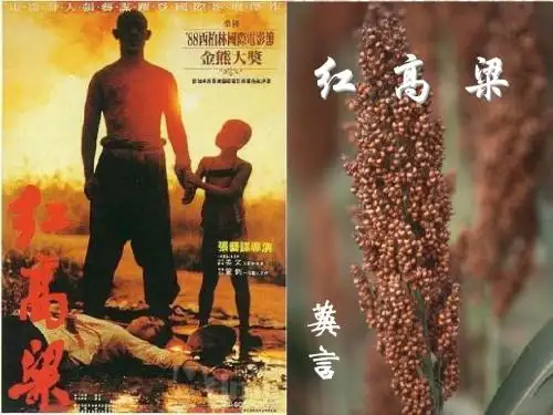《红高梁》ppt课件(35页)