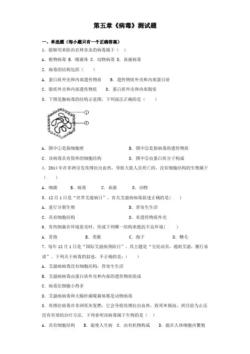 人教版生物八年级上册第五单元第五章《病毒》测试题(含答案)