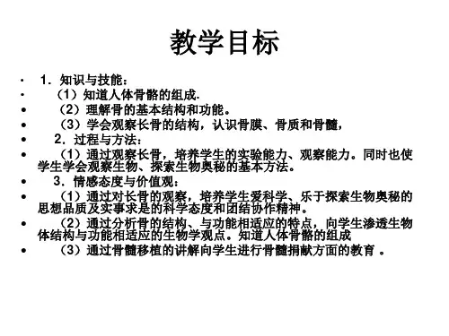 八年级生物人体的支持与运动2(PPT)4-3