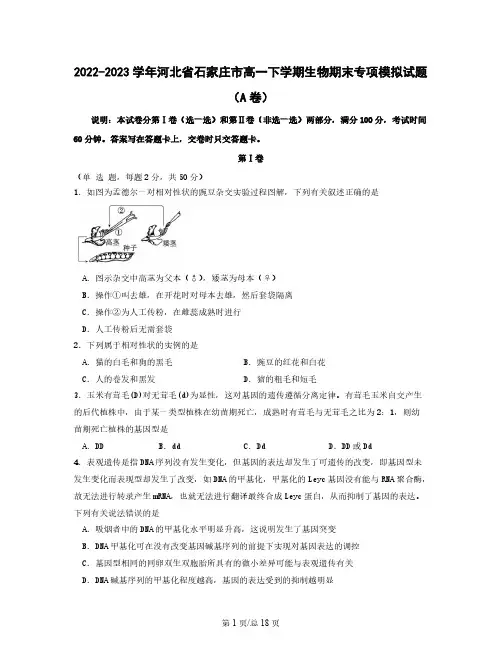 2022-2023学年河北省石家庄市高一下学期生物期末专项模拟试题(AB卷)含解析