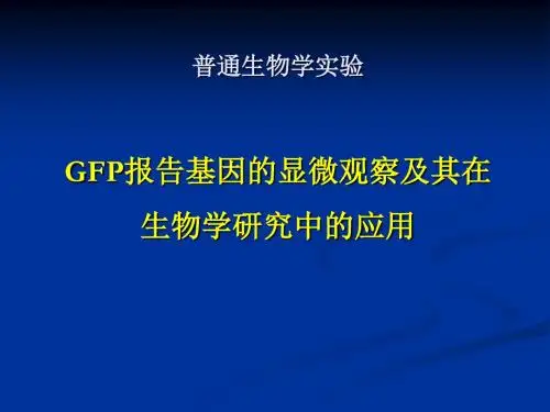 绿色荧光蛋白GFP的显微观察及其在转基因研究中的应用