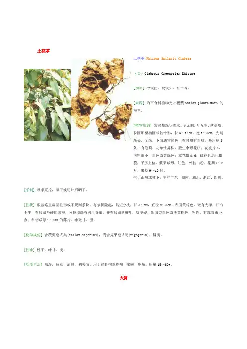 常见中草药—根茎类