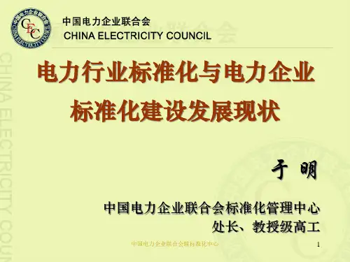 电力行业标准化与电力企业标准化建设发展现状.pptx
