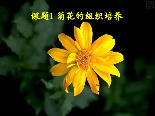 3.1菊花的组织培养(共35张PPT)