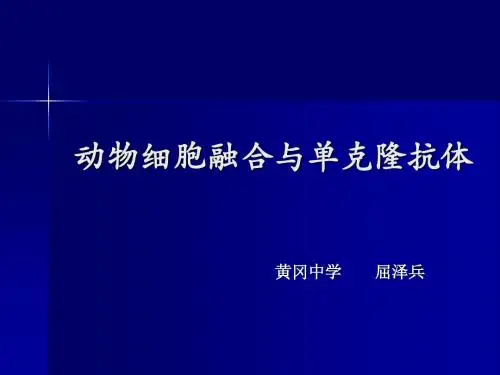 动物细胞融合与单克隆抗体(讲课课件)