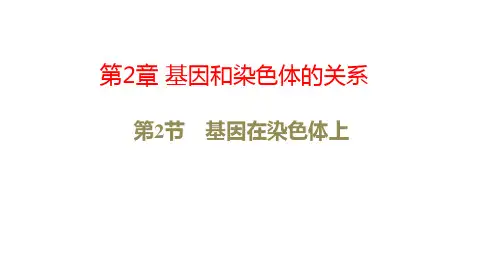 人教版生物必修2教学设计：第2章 基因和染色体的关系 第2节 基因在染色体上 