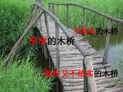〖新〗人教部编版六年级语文上册《桥》教学课件ppt