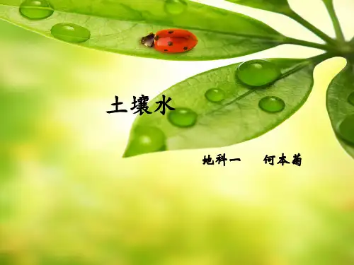 土壤水